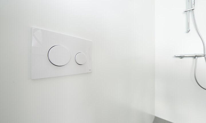 TECEloop toilet flush plate