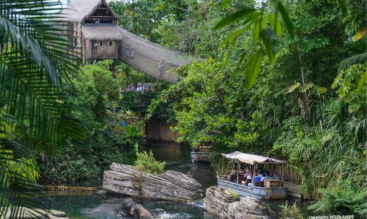 Wildlands emmen dierenpark kiest voor TECEplanus elektronische bedieningsplaten TECE