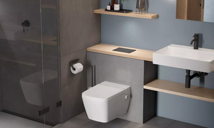 Toilette mit horizontaler Betätigungsplatte