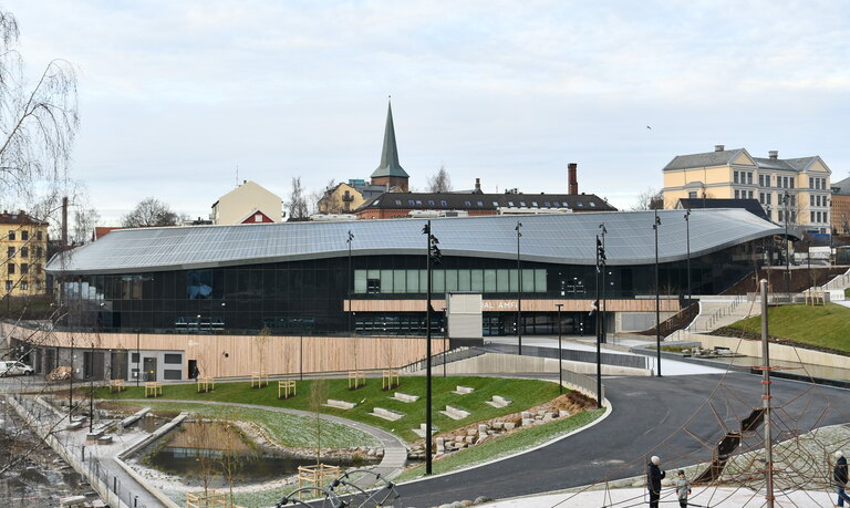 Foto: Wikimedia Commons / Helge Høifødt