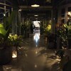TECE Design&Networking Event Amsterdam